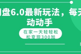 网盘最新6.0玩法，每天动动手在家轻轻松松一天变现300 