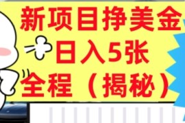 最新挣美金项目，日入5张，全程揭秘，小白也能轻松入手，长久被动收入