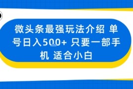 微头条最强玩法介绍一个号日入5张 只要一部手机适合小白