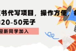 小红书代写项目，操作方便，每单可卖20-50米