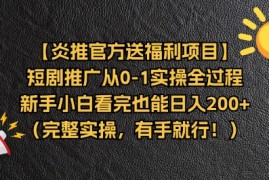 （11379期）【炎推官方送福利项目】短剧推广从0-1实操全过程，新手小白看完也能日…
