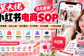 某大佬小红书电商SOP｜9月更新：选品找货源 商品上架 爆款笔记 SEO布局 矩阵运营 AI爆品实战