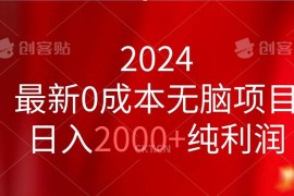 （11444期）2024最新0成本无脑项目，日入2000 纯利润