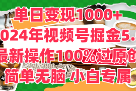 单日变现1000 ，2024年视频号掘金5.0，最新骚操作100%过原创玩法，简单无脑，小白专属