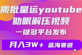 一键搬运YouTube解压助眠视频，简单操作月入1W 