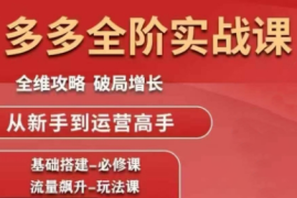 大炮·拼多多全阶实战课程(更新2026)