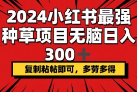 （12336期）2024小红书最强种草项目，无脑日入300 ，复制粘帖即可，多劳多得