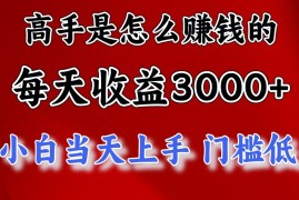 高手是怎么一天赚3000 的，小白当天上手，翻身项目，非常稳定。