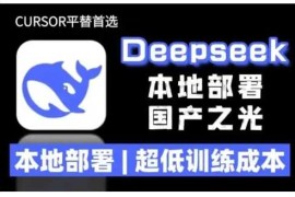 2025年deepseek R1 大型模型本地安装部署(文件 教程)本地部署，超低训练成本