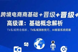 （15496期）跨境电商基础 晋级 高级课：基础概念解析,Tk私域涨粉技巧,AI客服系统搭建