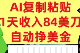 AI复制粘贴，自动挣美金，1天收入84美刀，3分钟学会，最新项目