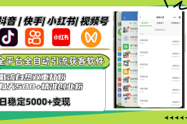 抖音快手小红书视频号全平台全自动引流获客系统，截流自热双重打粉，每天500 精准粉