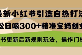 （13145期）最新小红书引流自热打法，轻松日吸300 精准宝妈创业粉，小红书更新后新…