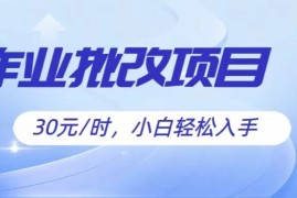 作业批改项目30元/时，小白轻松入手，非常的简单