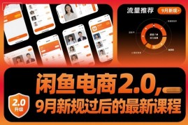 闲鱼电商2.0，9月新规过后的最新课程