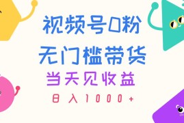 （11348期）视频号0粉无门槛带货，当天见收益，日入1000 