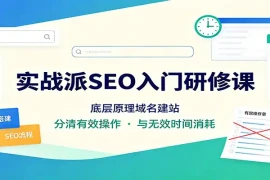 实战派SEO入门研修课：底层原理域名建站，分清有效操作与无效时间消耗