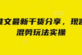 小说推文最新干货分享，现言剧情混剪玩法实操