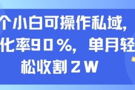 一个小白可操作私域，转化率90%，单月轻松收割2W
