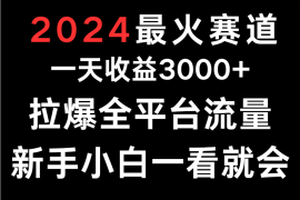 2024最火赛道，一天收一3000 .拉爆全平台流量，新手小白一看就会