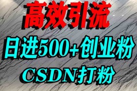 怎么打创业粉？CSDN又一个你不知道的打粉引流神秘平台，单人日引500 精准流量