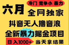 25年6月高爆抖音无人直播最新撸音浪掘金项目，小白可做，无脑日入1k ，门槛低可批量矩阵【揭秘】