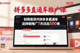 拼多多直通车推广课，别再盲目开拼多多直通车，这样做推广7天日出500单
