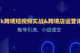 Tk跨境短视频实战