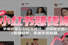 小红书赚钱课：学爆款笔记对标与模仿，做吸睛封面   数据分析，掌握变现秘籍
