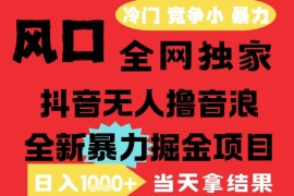 25年6月高爆抖音无人直播最新撸音浪掘金项目，解放双手小白可做，无脑日入1k ，门槛低【揭秘】