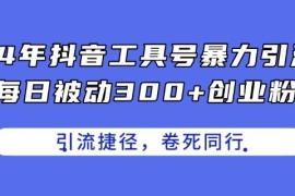 24年抖音工具号暴力引流，每日被动300 创业粉，创业粉捷径，卷死同行【揭秘】