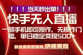 （15733期）当天秒出单，无人直播最新技术，0风控，轻松日入500 