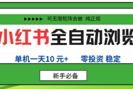 小红书全自动浏览项目，零投资，全程手机去跑，单账号一天10米 ，可无限矩阵去做【揭秘】