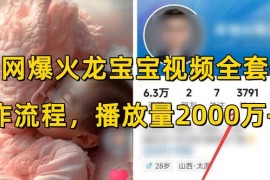 全网爆火龙宝宝视频全套操作流程，播放量2000万 