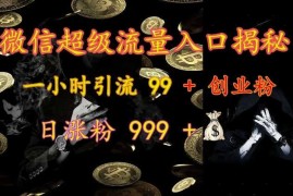 微信超级流量入口揭秘：一小时引流 99   创业粉，日涨粉 999  