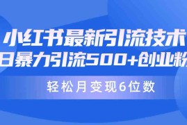 （9871期）日引500 月变现六位数24年最新小红书暴力引流兼职粉教程