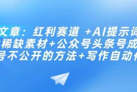付费文章：红利赛道  AI提示词  批量找稀缺素材 公众号头条号成功起号不公开的方法 写作自动化