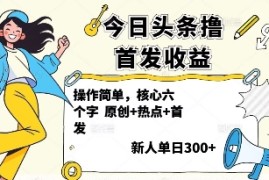 今日头条撸首发玩法，操作简单，新人一天3张 