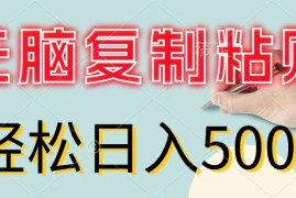 （11805期）无脑复制粘贴，小白轻松上手，零成本轻松日入500 