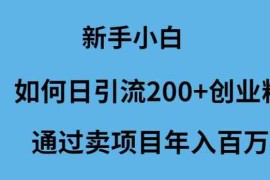 （9668期）新手小白如何日引流200 创业粉通过卖项目年入百万