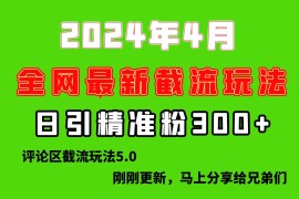 （10179期）刚刚研究的最新评论区截留玩法，日引流突破300 ，颠覆以往垃圾玩法，比…