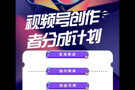 （10804期）蓝海项目，视频号创作分成计划，小白也能轻松上手，日入1000 