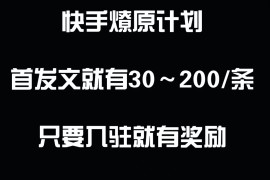 最新快手发视频赚米  首发文就有30-200米  随便发几个作品就有收益