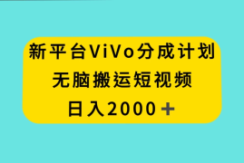 新平台 VIVO 短视频分钱计划，无脑搬运视频，日入 2000＋