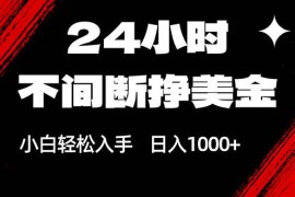 （17531期）24小时不间断挣美金，小白轻松上手，日入1000 