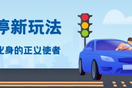拍违停新玩法，有手机会拍照即可，三张照片10元