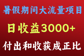 一天收益3000 ，暑假期间， 这个项目才是真火