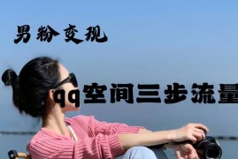 2024一诗男粉变现项目，三步流量池打法，一天一两张