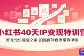 小红书40天IP变现特训营：账号定位选题文案，拍摄剪辑直播带货课程