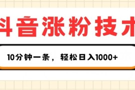 抖音涨粉技术，1个视频涨500粉，10分钟一个，3种变现方式，轻松日入1K 【揭秘】